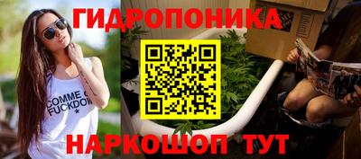 твердый Будённовск