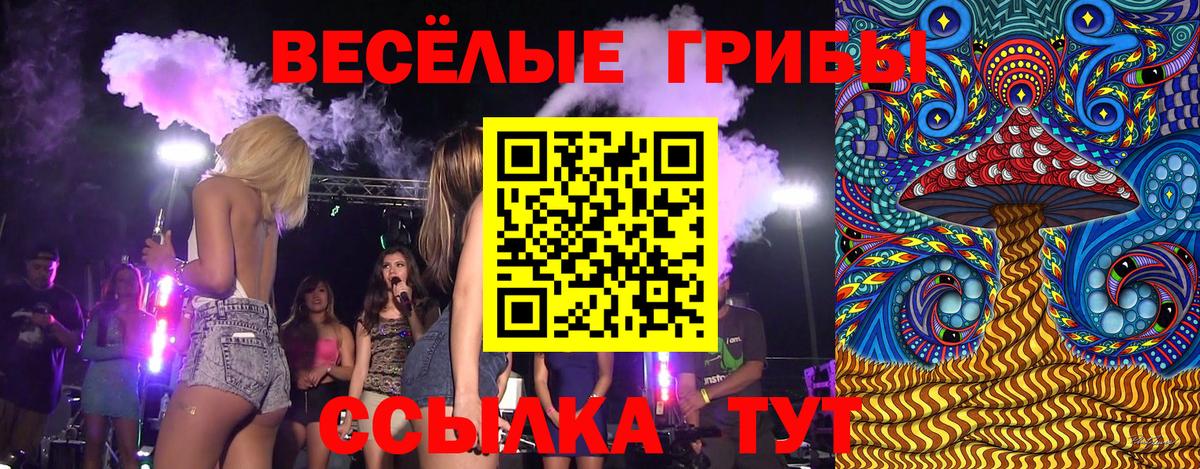 Псилоцибиновые грибы GOLDEN TEACHER  Вход с VPN  Конаково 